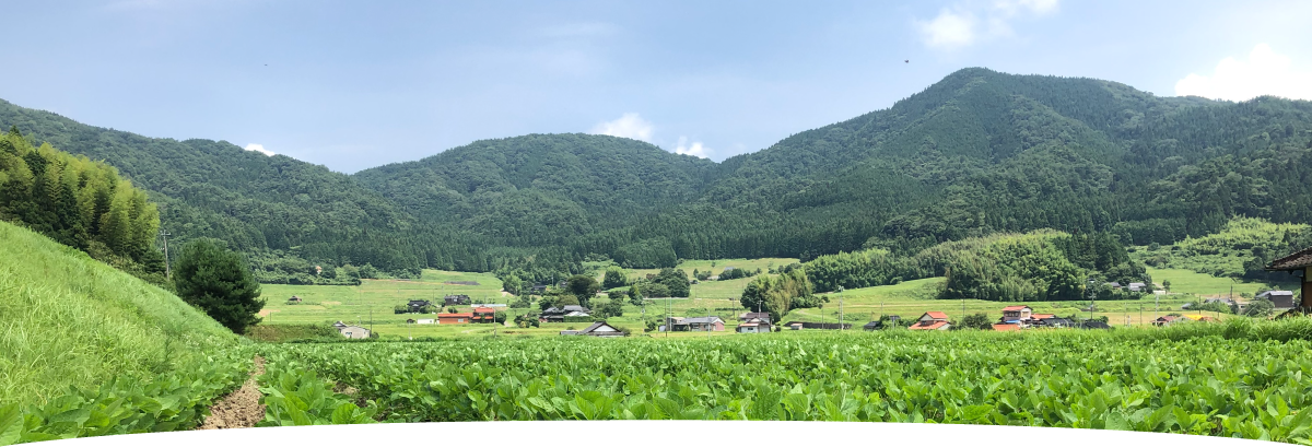 農事組合法人ファーム　つるの里