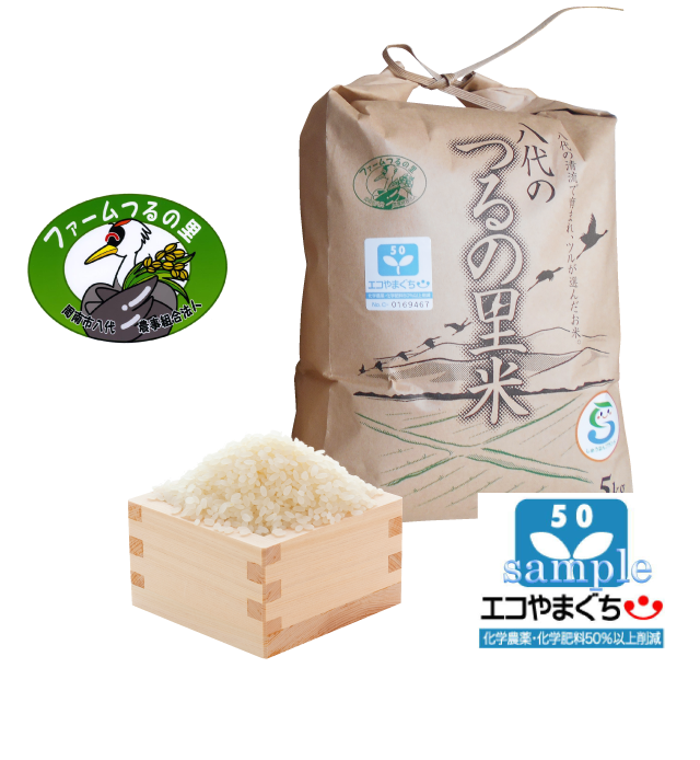 特別栽培米エコやまぐち50ひとめぼれ
