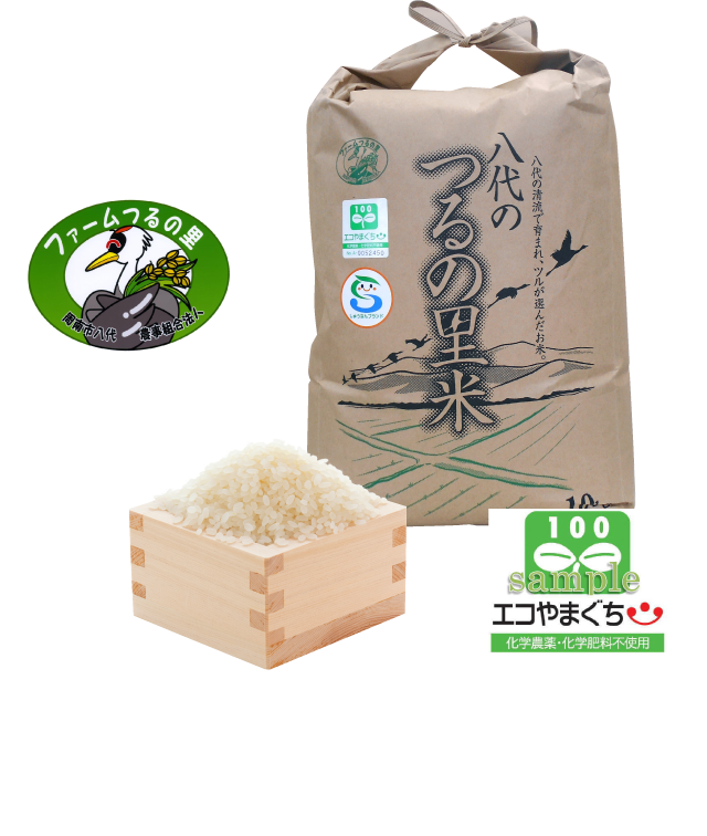 特別栽培米エコやまぐち100コシヒカリ