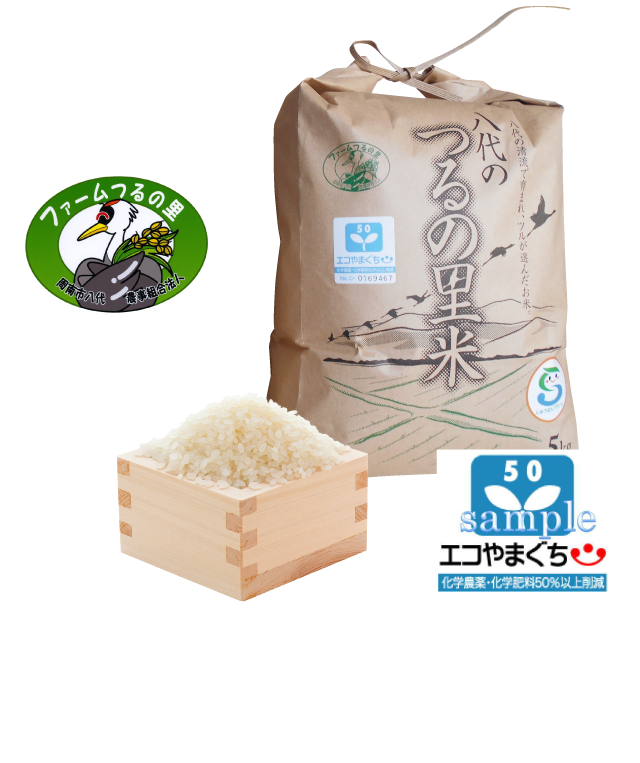 特別栽培米エコやまぐち50コシヒカリ